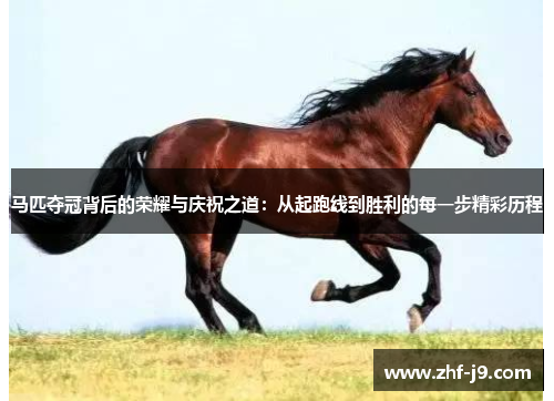 马匹夺冠背后的荣耀与庆祝之道:从起跑线到胜利的每一步精彩历程 马匹夺冠背后的荣耀与庆祝之道:从起跑线到胜利的每一步精彩历程